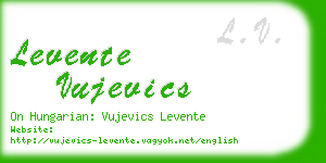 levente vujevics business card